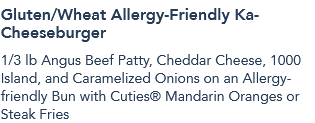Gluten/Wheat Allergy-Friendly Ka-Cheeseburger
